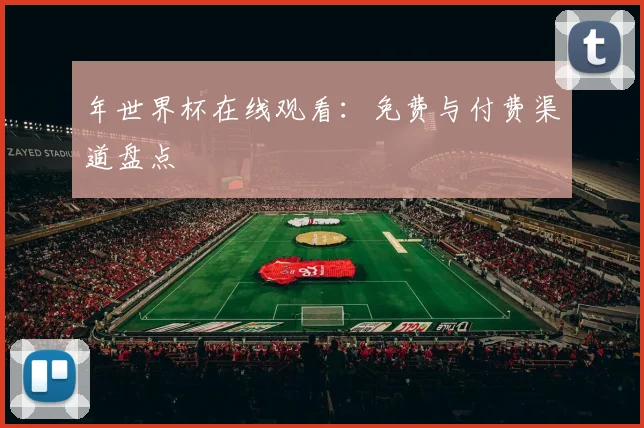 年世界杯在线观看：免费与付费渠道盘点