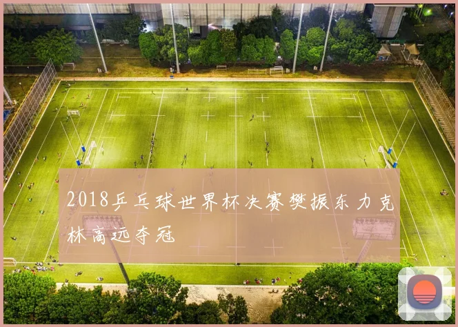 2018乒乓球世界杯决赛樊振东力克林高远夺冠
